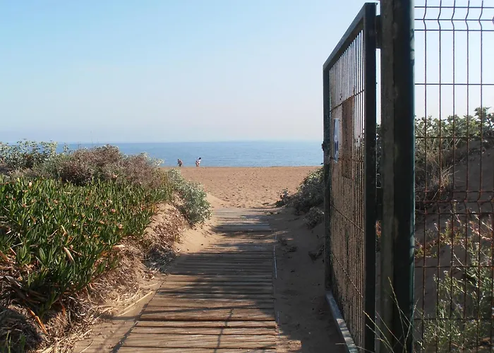 Marinas,vistas Frontales Playa Denia